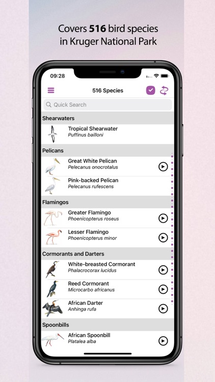 Sasol eBirds Kruger Park