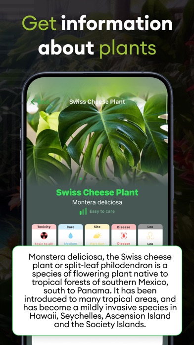 Plant Life: AI Identifier Care Screenshot
