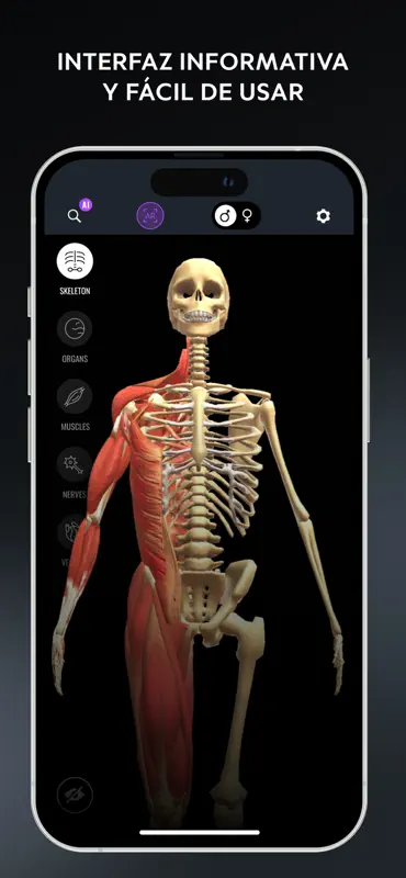 Atlas der Anatomie: Lernen 3D screenshot 4 of 6