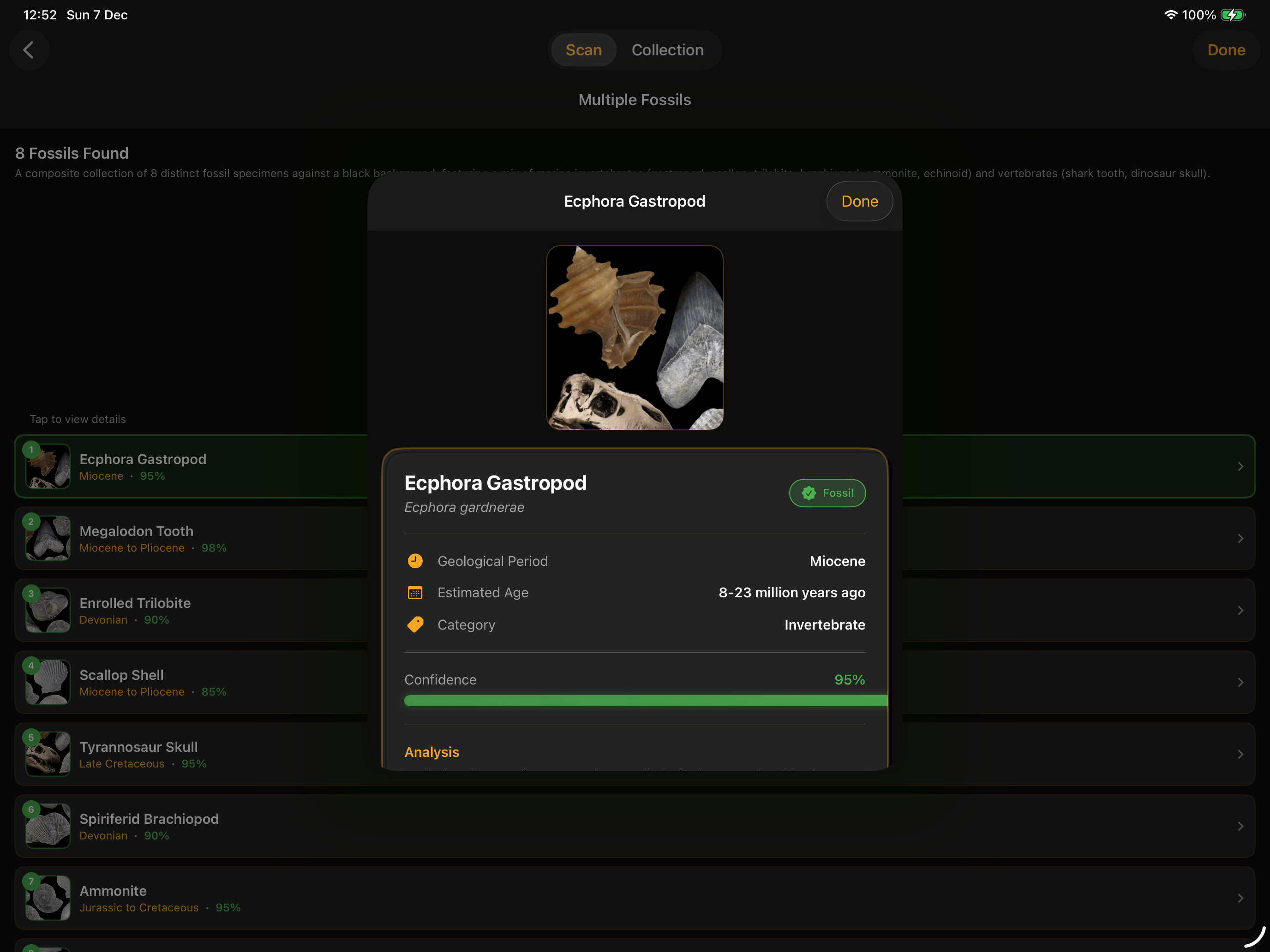 Fossilise screenshot 11