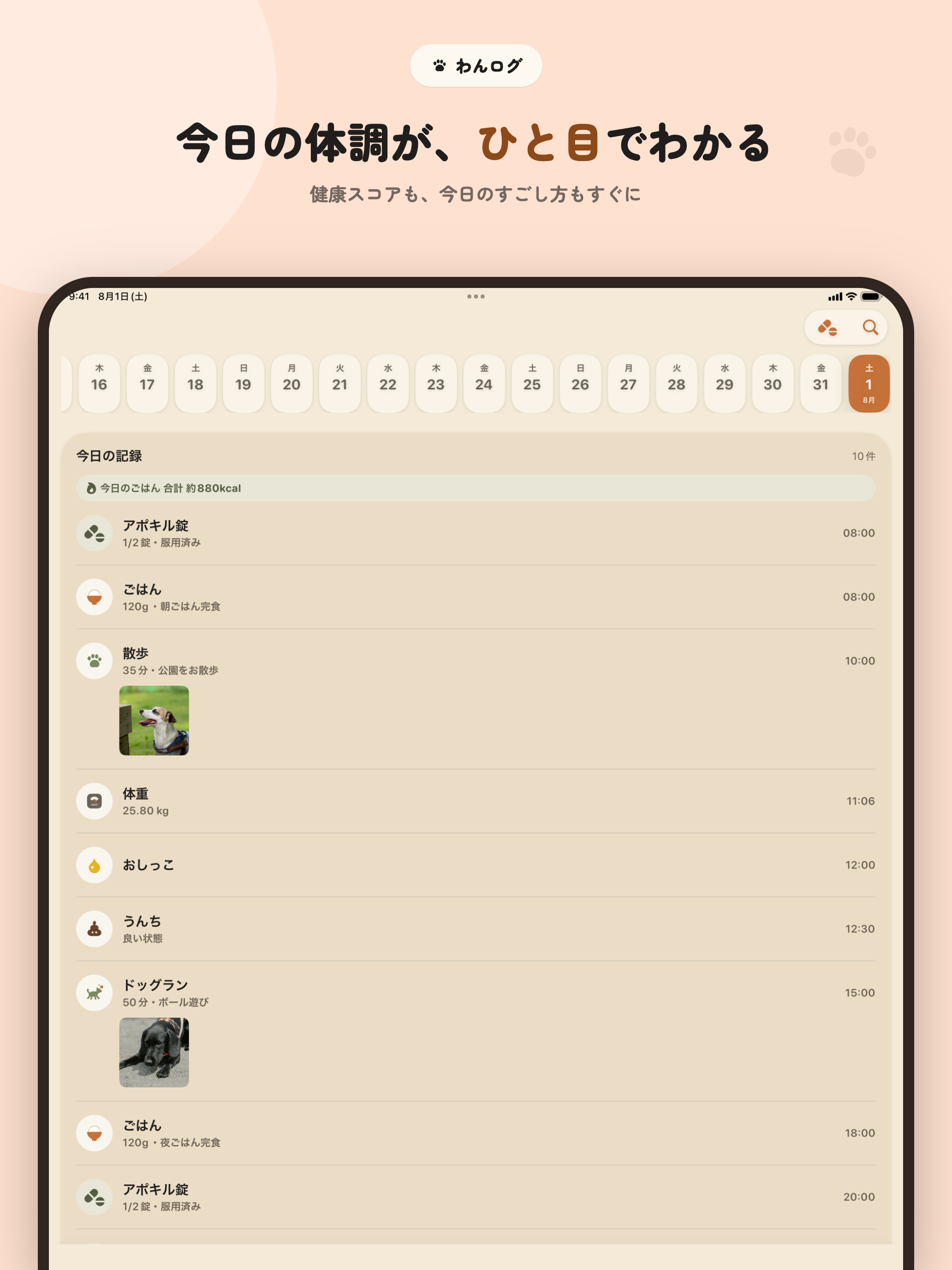 わんログ screenshot 5
