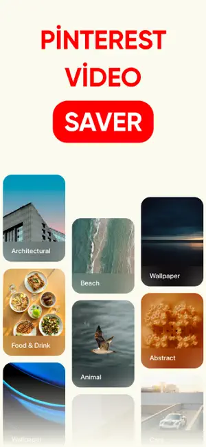 PinSave - Save Pinterest Video screenshot 1