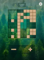 zendoku - Блоковая головоломка айпад изображения 3