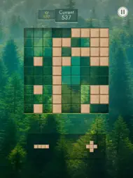 Zendoku - Blokkpuslespill ipad bilder 2
