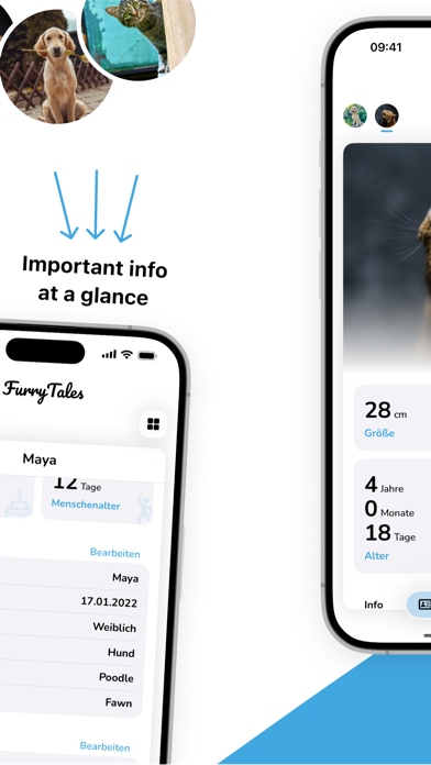 FurryTales: Pet Health Screenshot