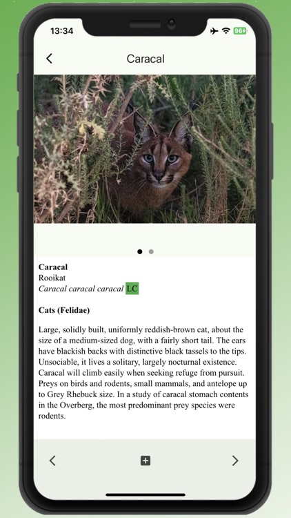 Field Guide to Renosterveld screenshot-4