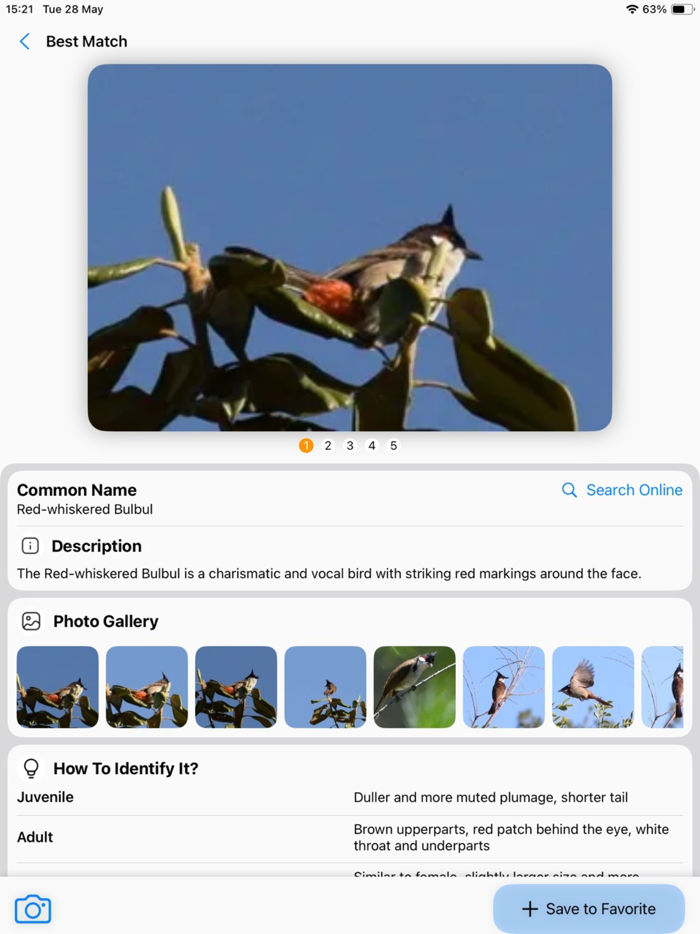 Bird Identifier AI Scanner