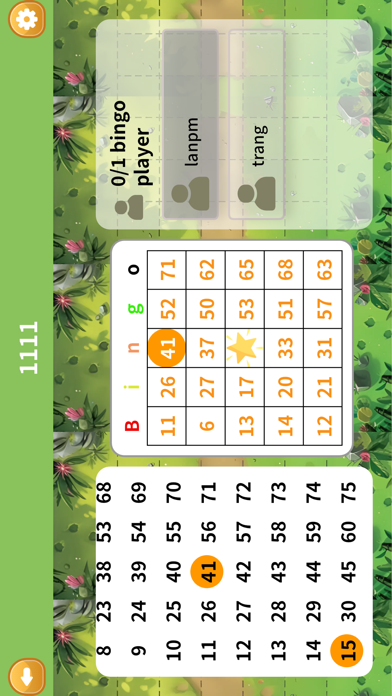 Bingo-Roulette Screenshot
