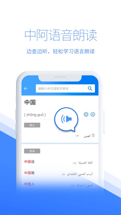 WPT Chinese-Arabic Dictionary Screenshot