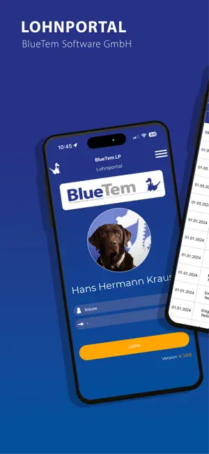 BlueTem - Lohnportal screenshot 1
