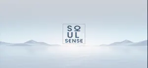 SOUL SENSE screenshot 1