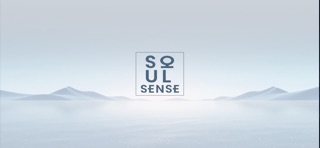 SOUL SENSE iPhone screenshot