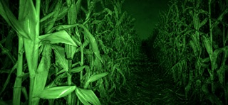 Night Vision Cam FX Screenshot 2 of 9