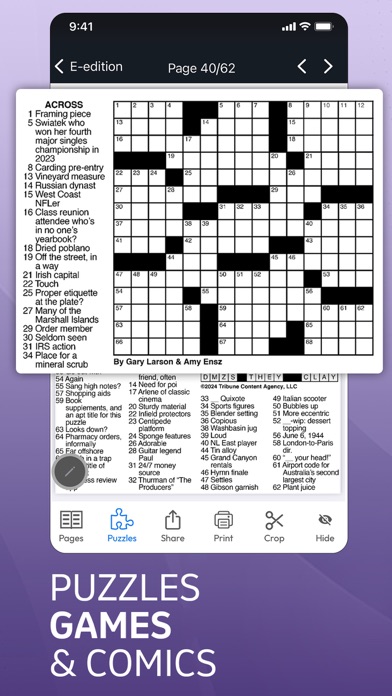 Elko Daily Free Press Screenshot