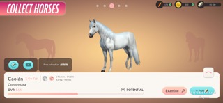 Equestrian the Gameのおすすめ画像5