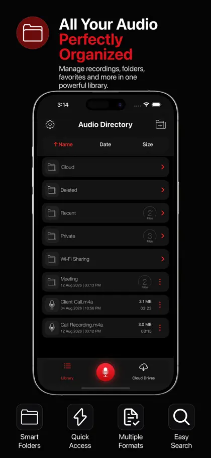 Captura de tela 4 de 5 de Voice Memos Recorder Plus Pro
