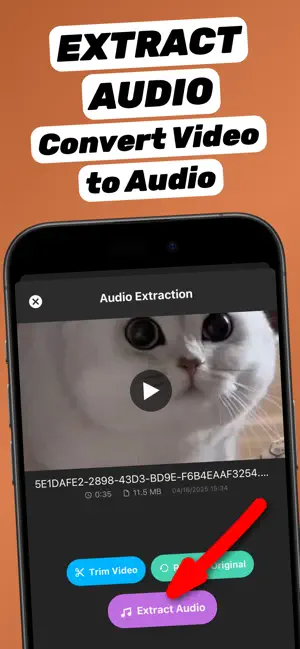 Extract Audio from Video⁺ screenshot 2