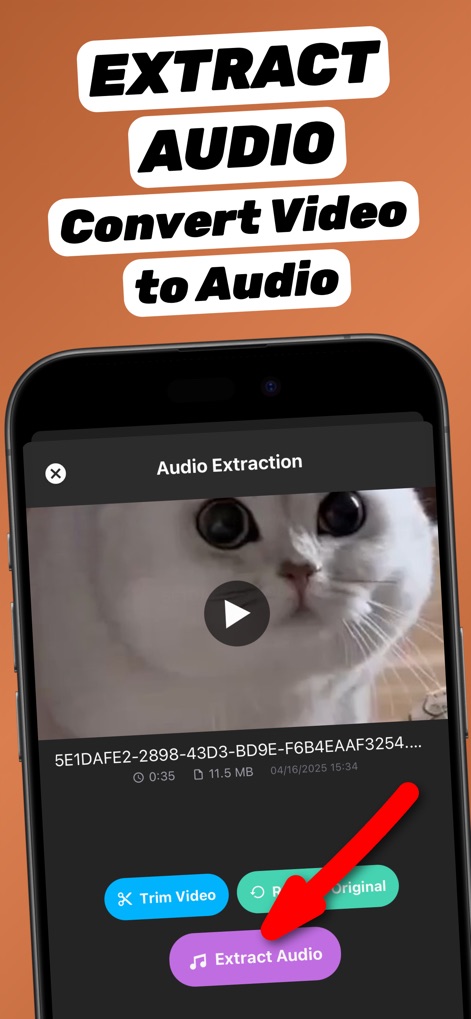 Extract Audio from Video⁺ - Music App | MWM