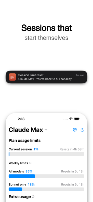 AI Usage Meter Screenshot 2 of 7