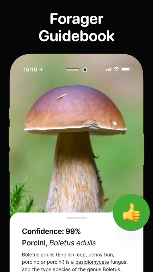 #5. Mushroom Identifier - Fungi ID (iOS) 由: Palina Baltsevich
