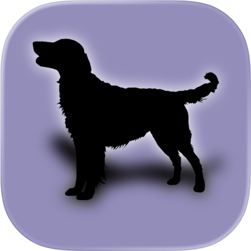 Dog's Family