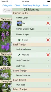 minnesota wildflowers info. iphone screenshot 2