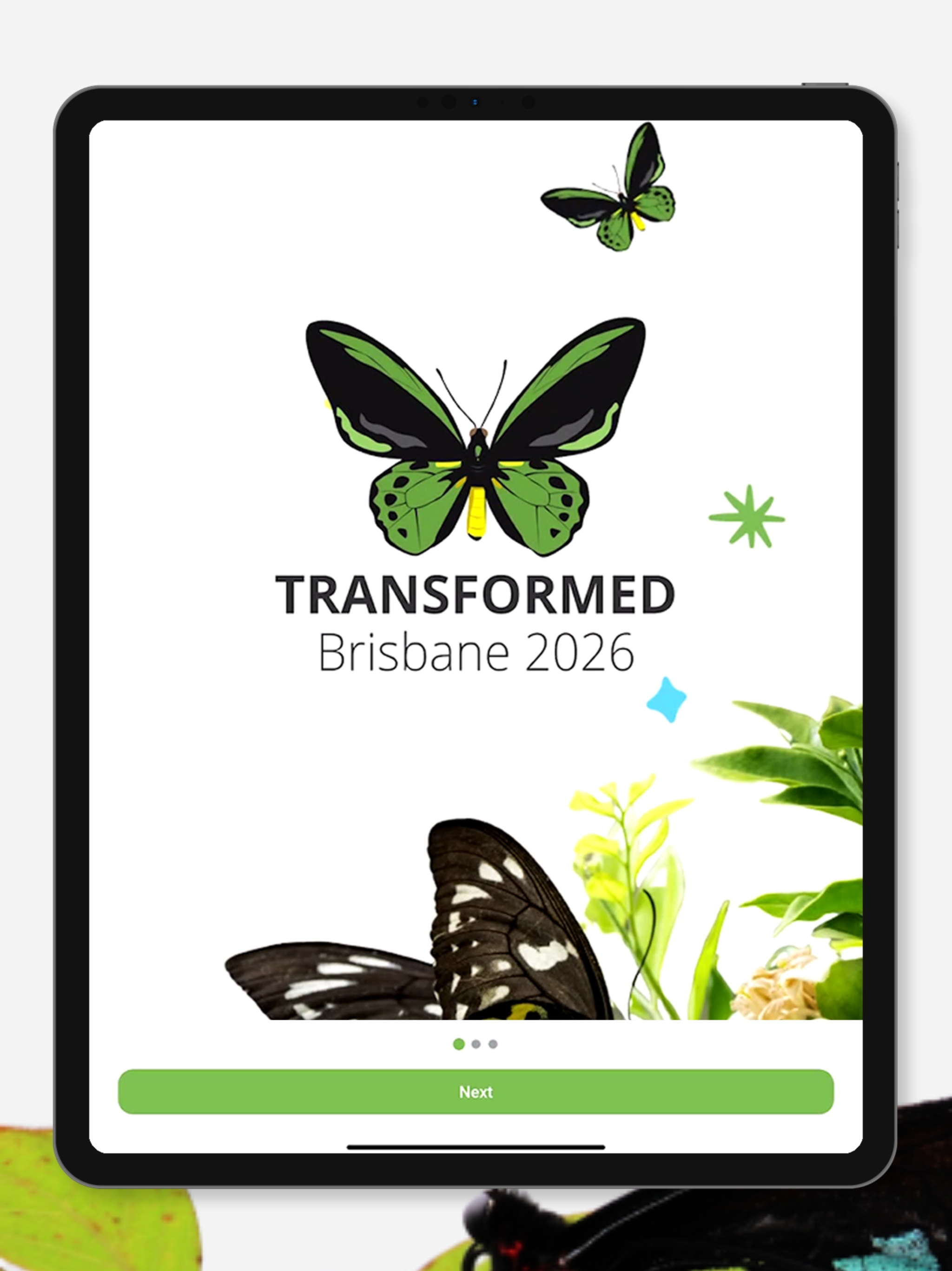 Transform 26