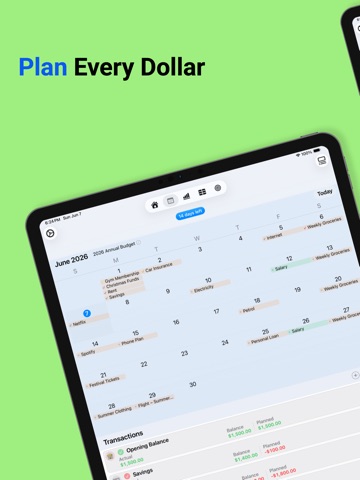 Plan & Spend : Budget Planner iPad screenshot