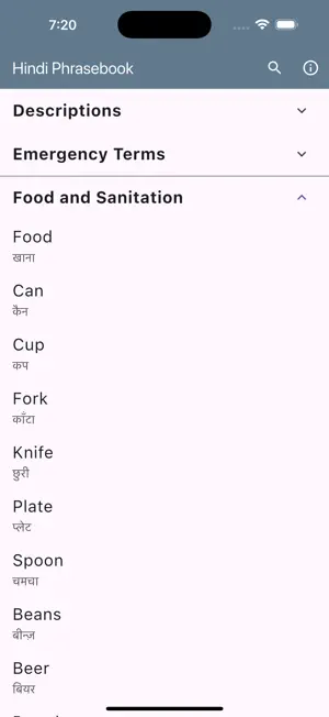 Hindi Phrasebook screenshot 4
