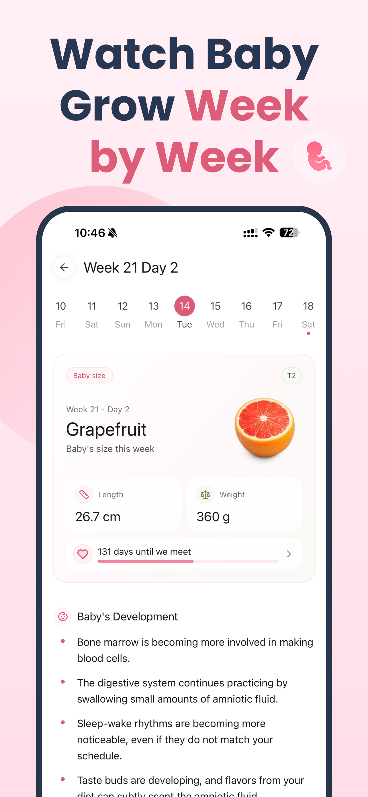 BabyBerry: Pregnancy in Sync screenshot 4