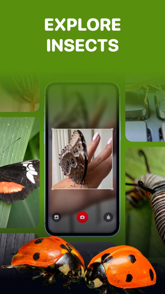 #4. Bugs id - Insect identifier ai (iOS) By: Klimin Marketing SpA