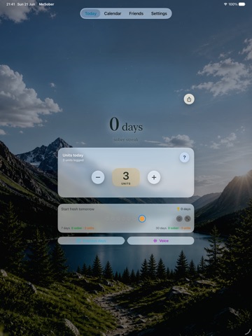 MeSober iPad screenshot