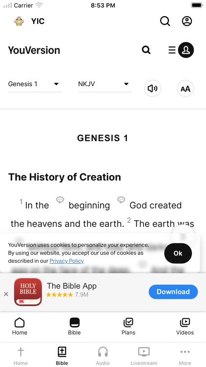 Youth In Christ - YIC