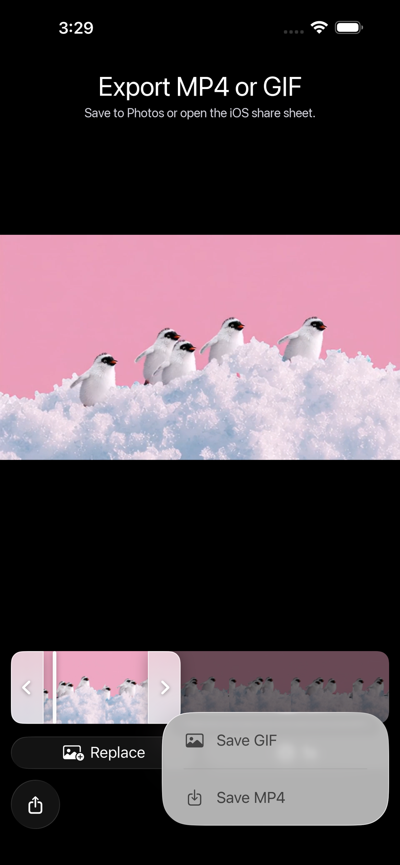 Boomerang Maker Video Loops screenshot 3
