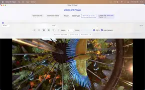 vision vr player iphone capturas de pantalla 1