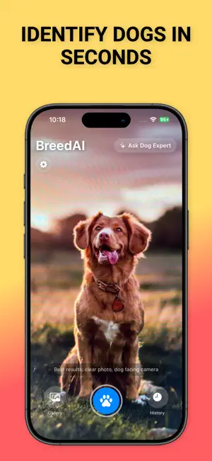 BreedAI - Dog Breed Identifier screenshot 1