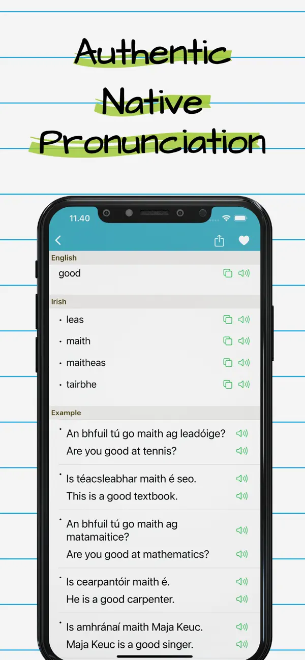 Screenshot #2 pour Irish English Dictionary +