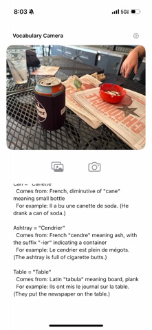 Vocabulary Camera Screenshot 6 of 9
