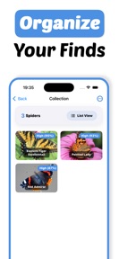 Butterfly Identifier - Paply screenshot