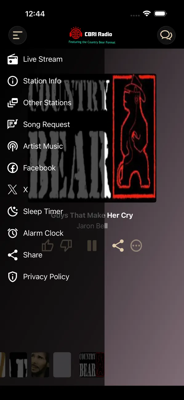 Screenshot #3 pour Country Bear Radio
