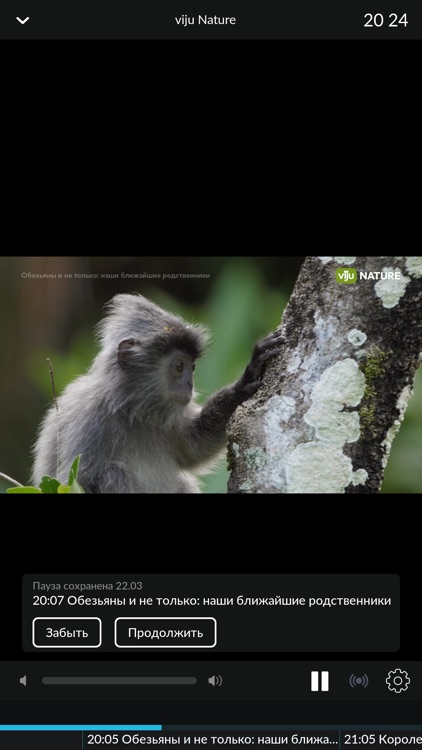 N3 - ТВ, Кино и Сериалы