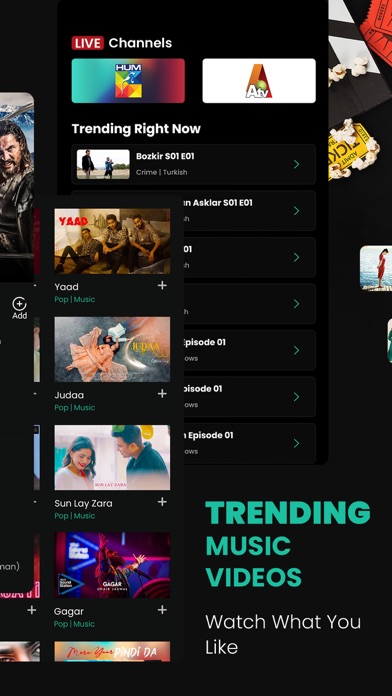 Vidly.tv: Pakistani Movies Screenshot