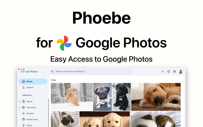 Screenshot #1 pour Phoebe for Google Photos