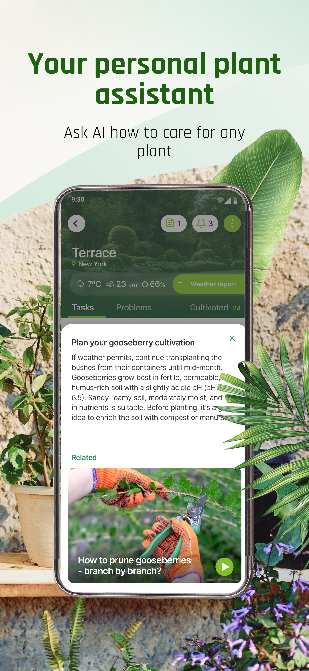 PLANTIS: Plant Identifier App