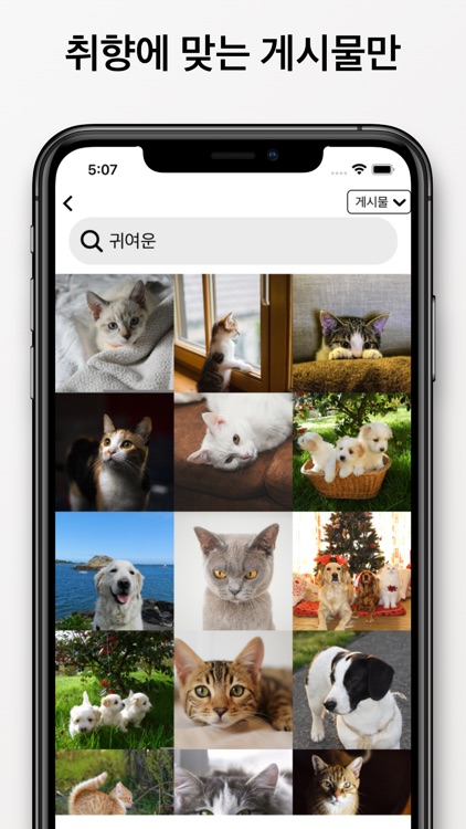 So Cutie - 귀여운 동물 SNS 커뮤니티 screenshot-4