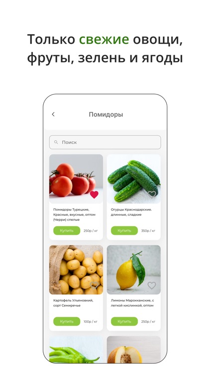BekaProject: Продукты оптом