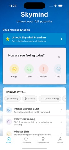 Skymind screenshot