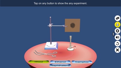 Combustion of Carbon Compounds