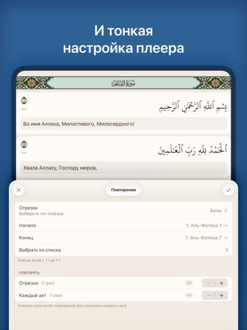 Академия Корана: Коран, тафсир iPad screenshot 7
