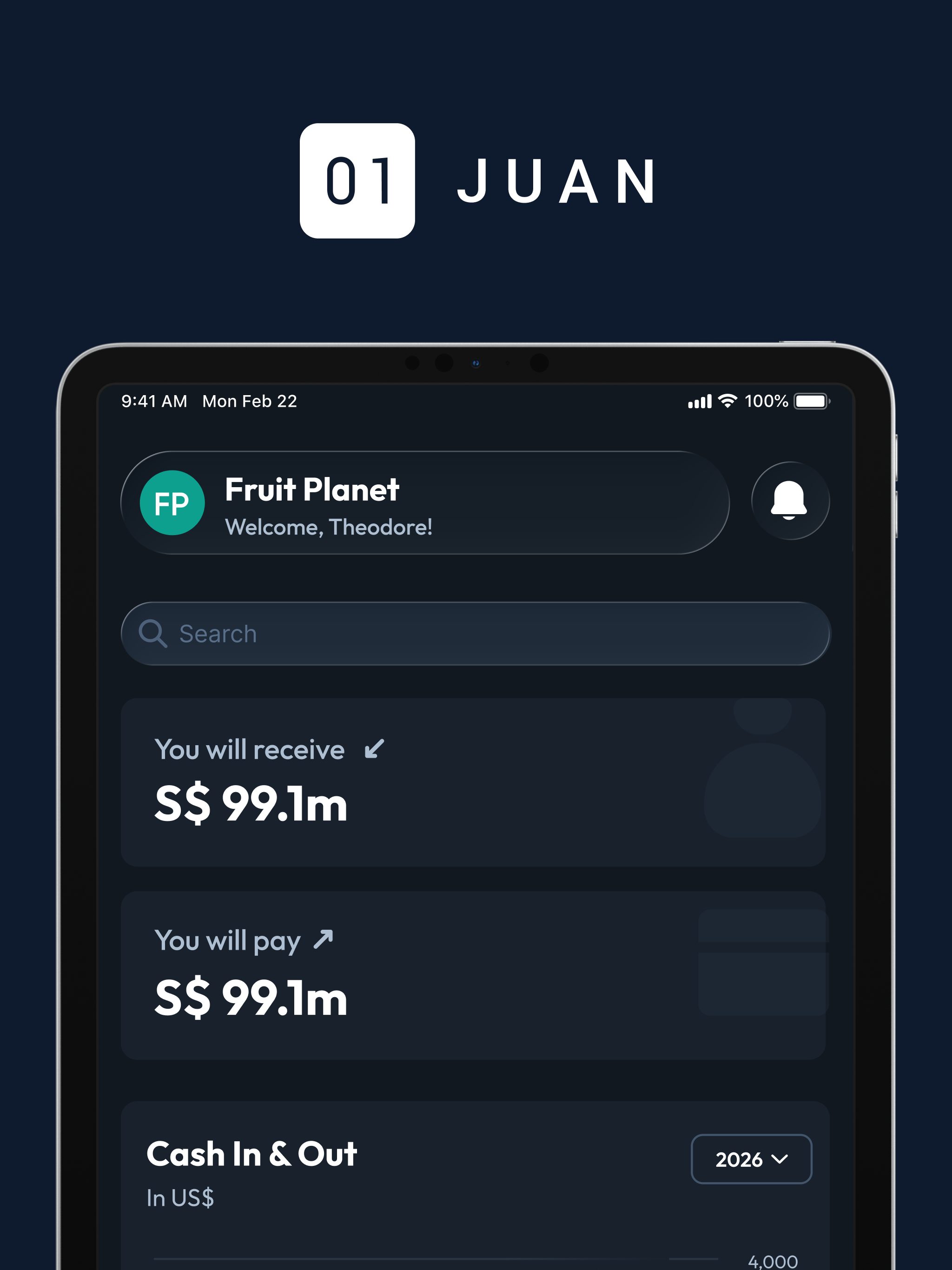Juan Accounting screenshot 11